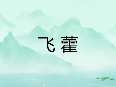 飞藿 飞藿