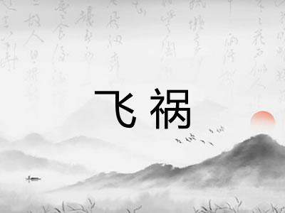 飞祸 飞祸