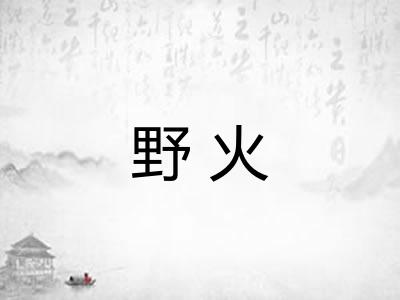 野火 野火