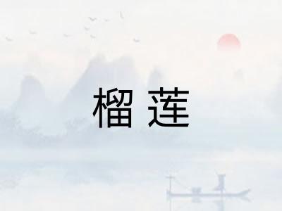 榴莲 榴莲