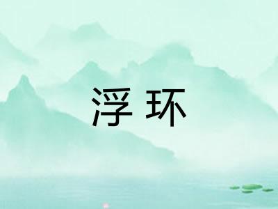 浮环 浮环