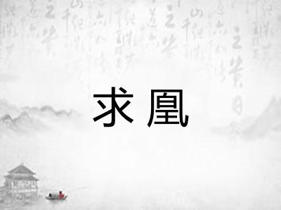 求凰 求凰