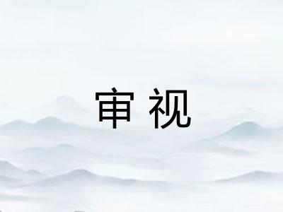审视 审视