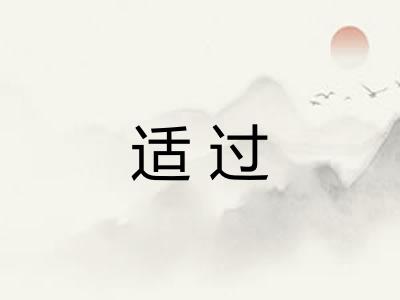 适过 适过