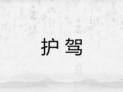 护驾 护驾