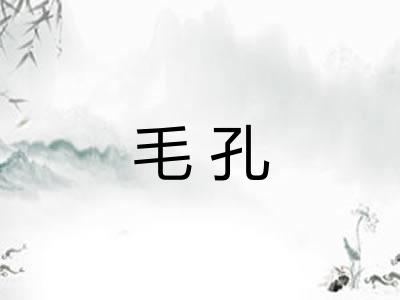 毛孔 毛孔