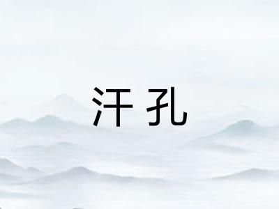 汗孔 汗孔