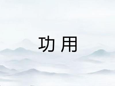 功用 功用