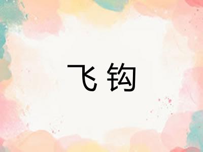 飞钩 飞钩