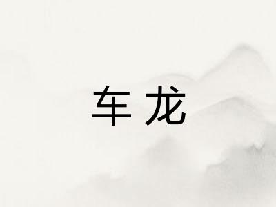车龙 车龙