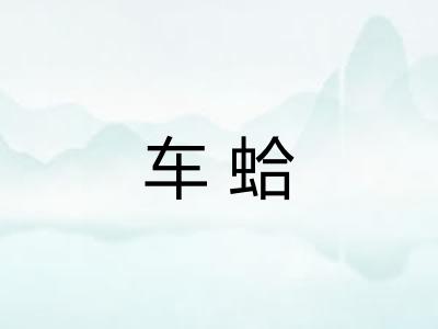 车蛤 车蛤