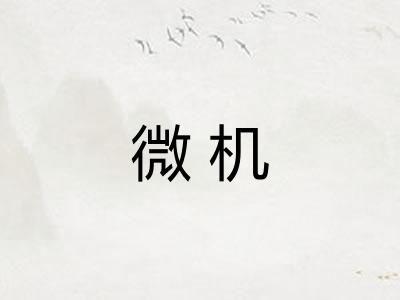 微机