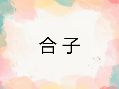 合子 合子