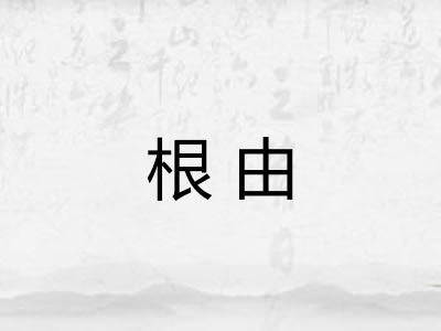 根由 根由