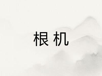 根机 根机