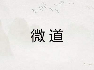微道 微道