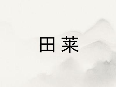 田莱 田莱