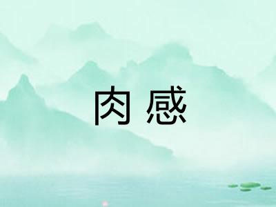 肉感 肉感