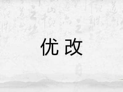 优改 优改
