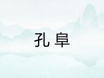 孔阜 孔阜