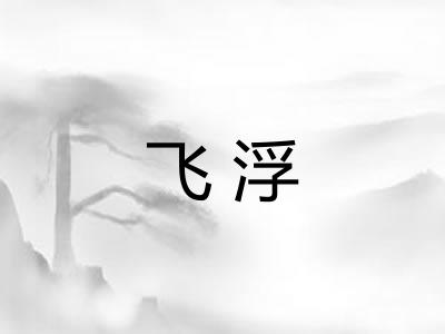飞浮 飞浮