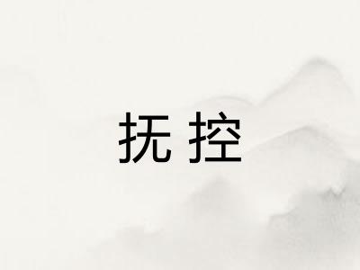 抚控 抚控