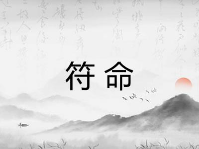 符命 符命