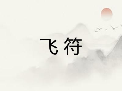 飞符 飞符