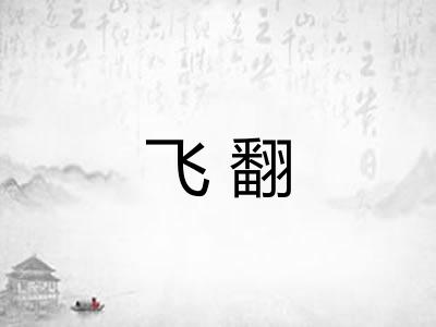 飞翻 飞翻