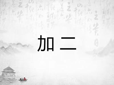 加二 加二