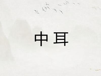 中耳 中耳
