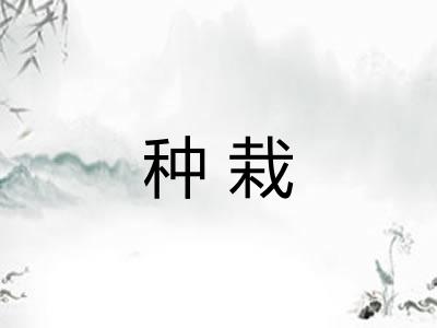 种栽 种栽