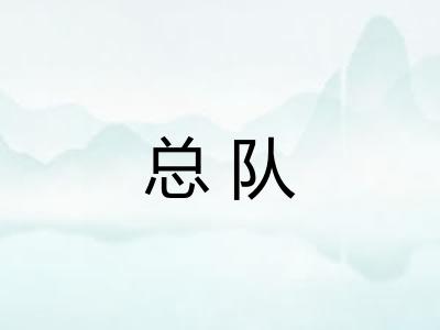 总队 总队