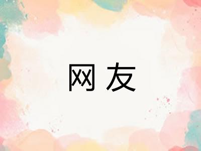 网友 网友