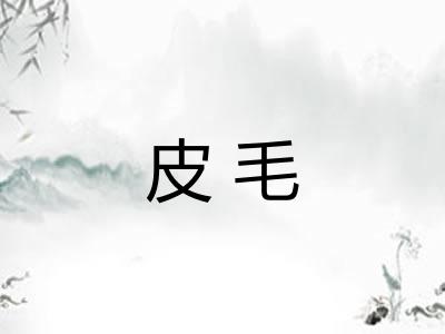 皮毛