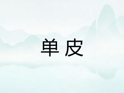 单皮 单皮
