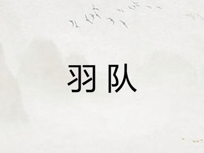 羽队