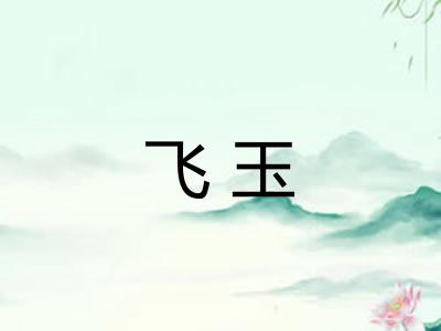 飞玉