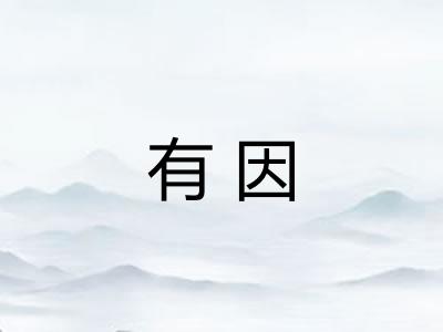 有因 有因