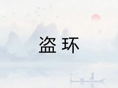 盗环 盗环