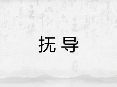 抚导 抚导