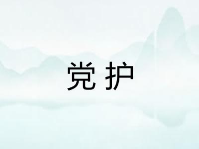 党护 党护