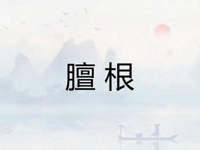 膻根