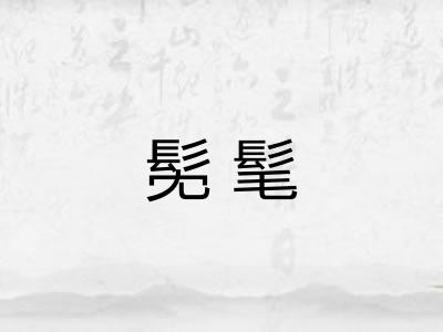 髧髦 髧髦