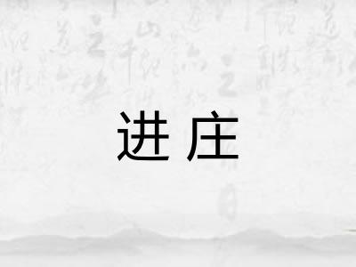 进庄 进庄