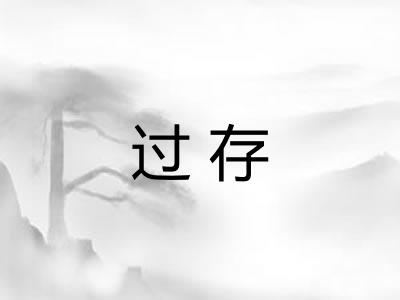 过存 过存