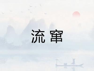 流窜 流窜