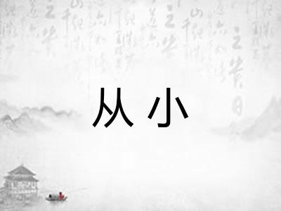 从小