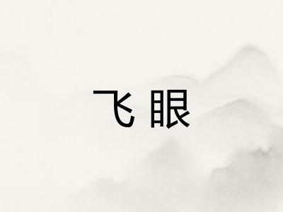 飞眼 飞眼
