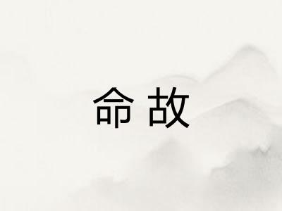 命故 命故